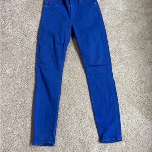 Hudson Jeans Blue Skinny Denim